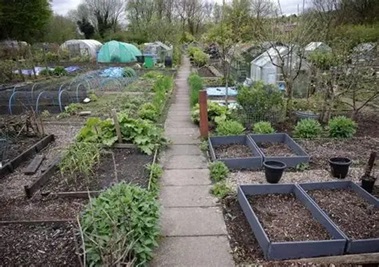 Moss Row Community Allotments Society