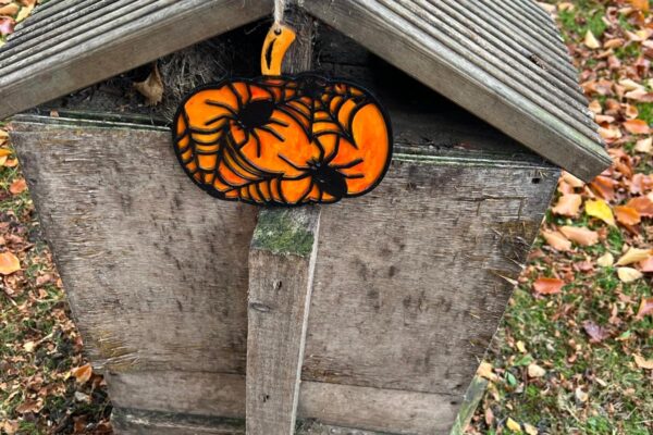 Playful  Spooky Surprises in Taylor Park