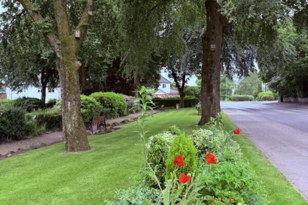 Friends of Taylor Park Volunteer Tidy-Up